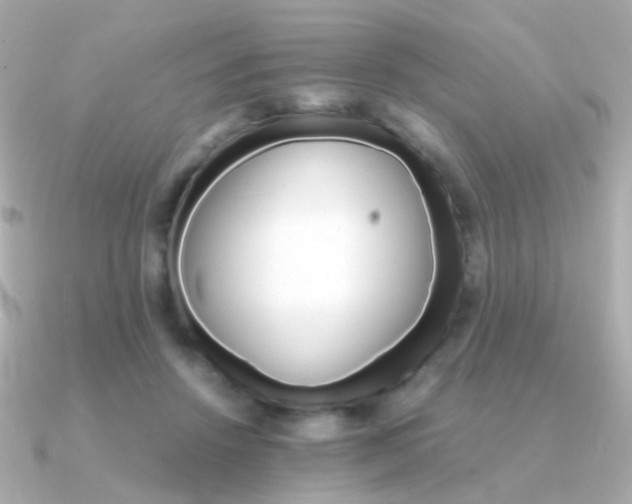 X0000091340456200708101446