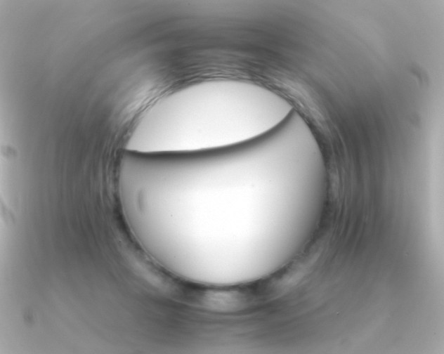 X0000091340457200708101446