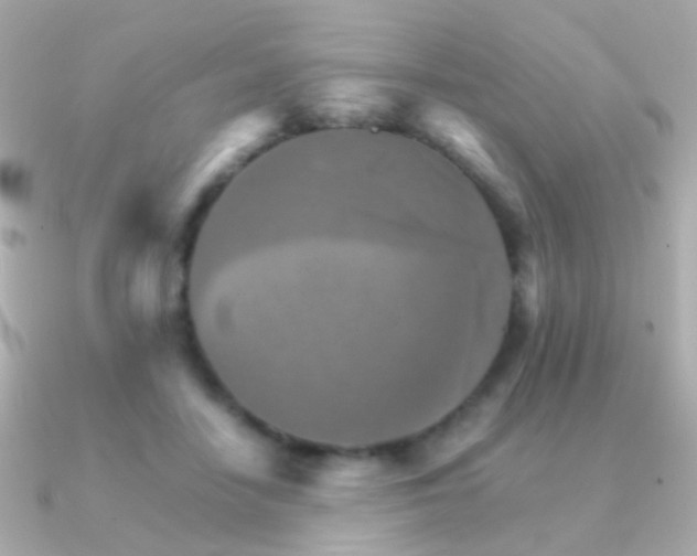 X0000091340458200708101446