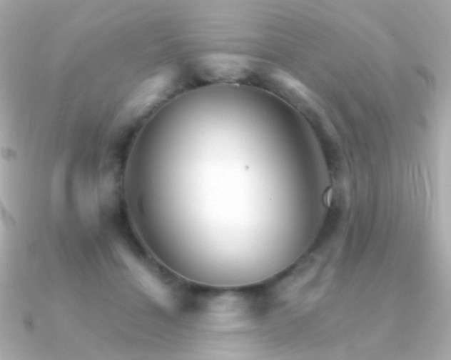 X0000091340460200708101446
