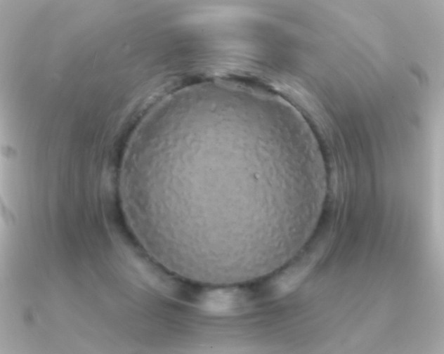 X0000091340461200708101447