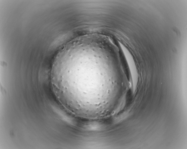X0000091340462200708101447