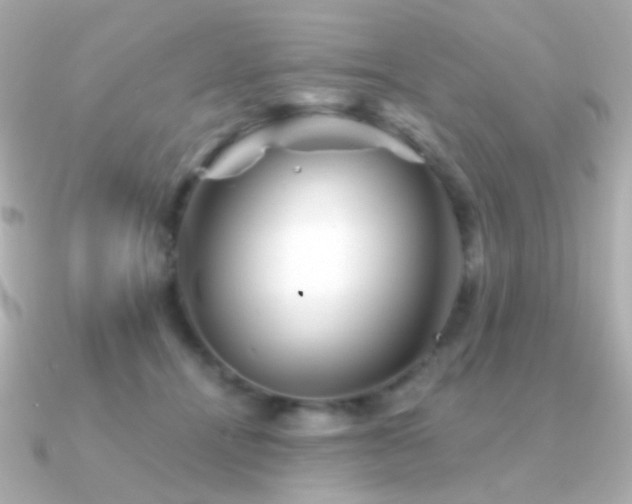 X0000091340464200708101447