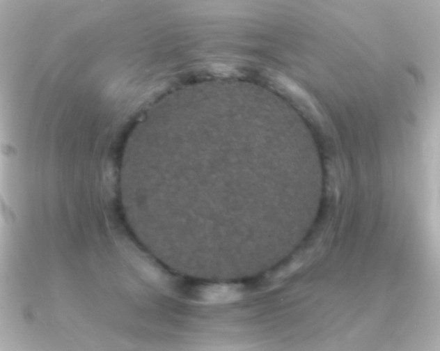 X0000091340465200708101447