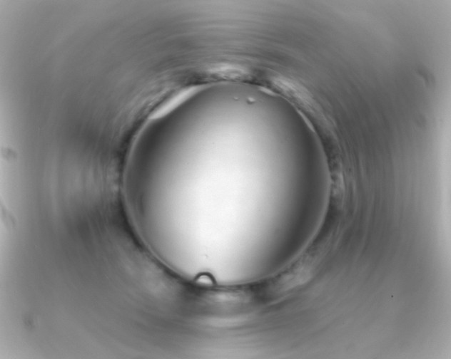 X0000091340466200708101447