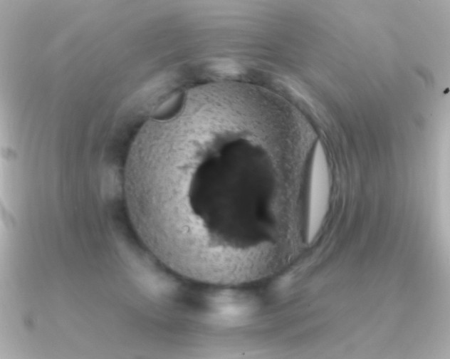 X0000091340467200708101447