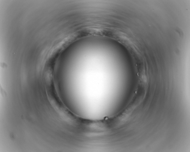 X0000091340468200708101447