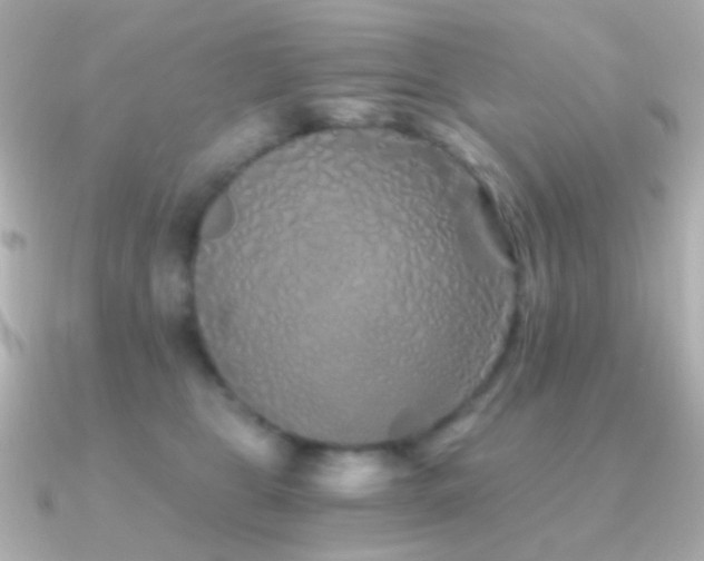 X0000091340469200708101447