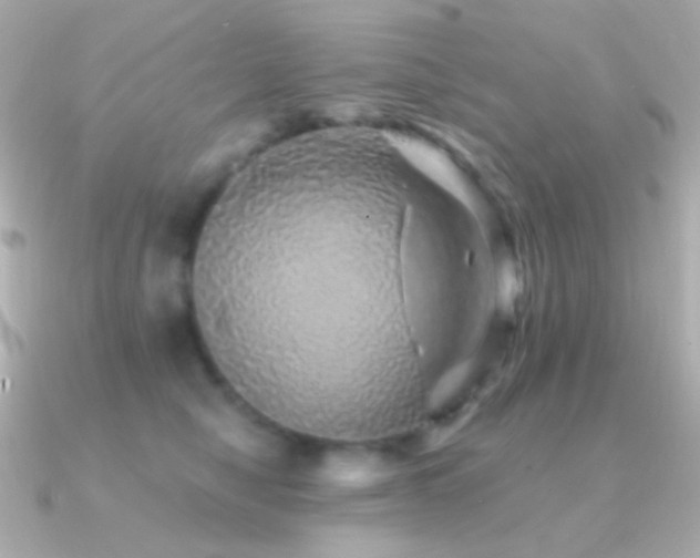 X0000091340470200708101447
