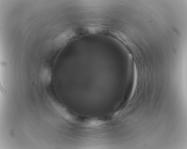 X0000091340471200708101447