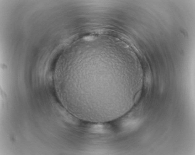 X0000091340473200708101447