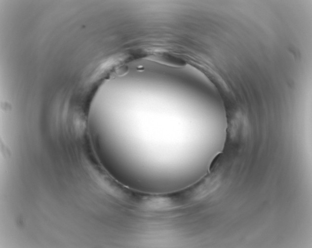 X0000091340476200708101447