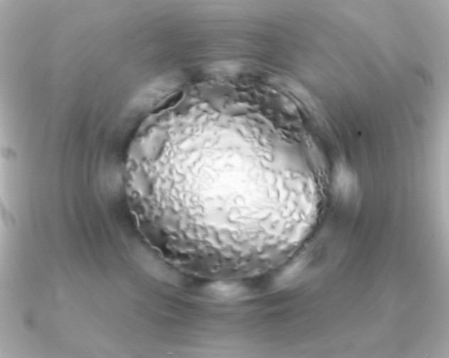 X0000091340477200708101447