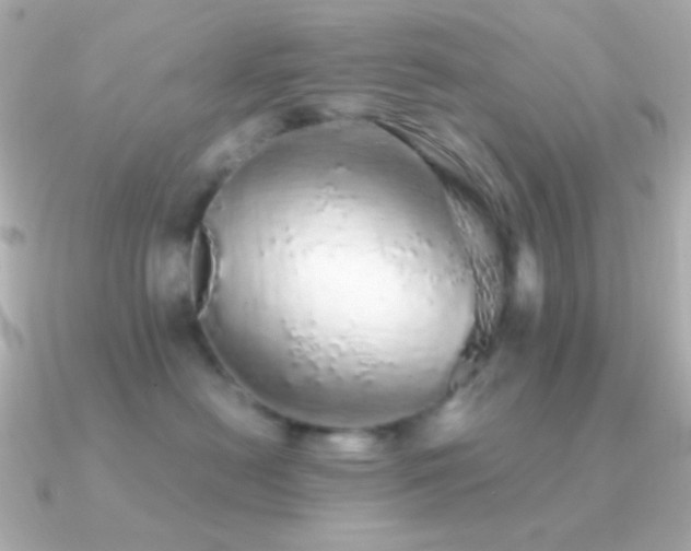 X0000091340478200708101447