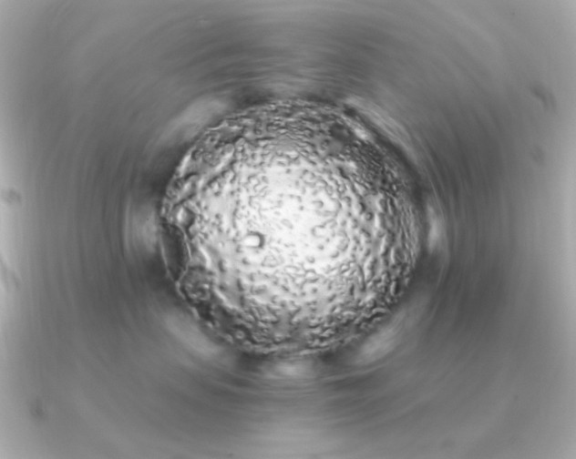 X0000091340479200708101447