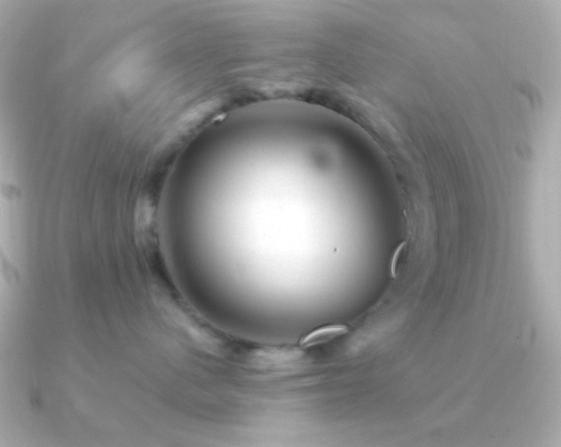 X0000091340480200708101447