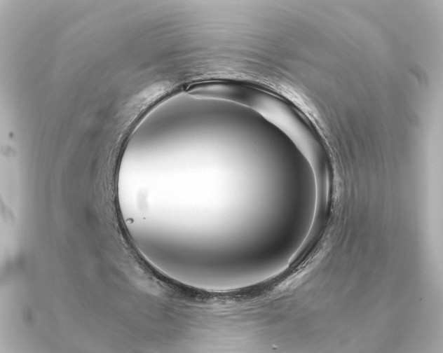 X0000091340481200708101446