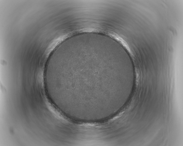 X0000091340482200708101446