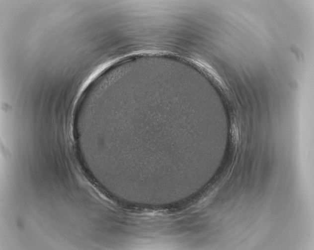 X0000091340484200708101446