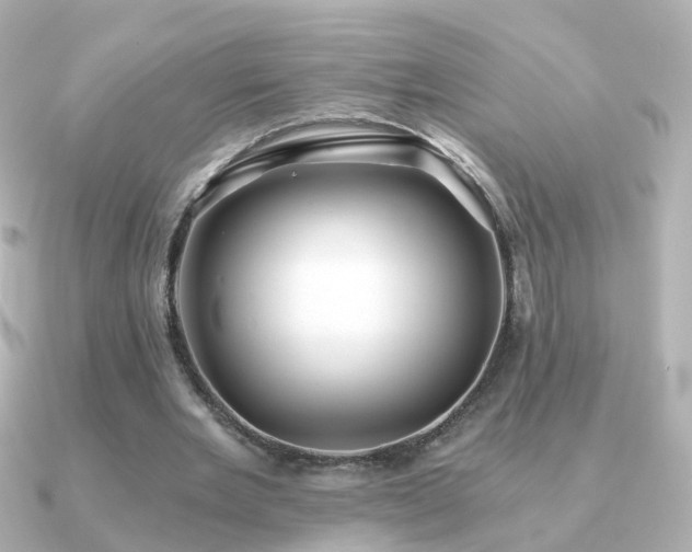 X0000091340485200708101446