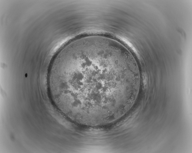 X0000091340487200708101446