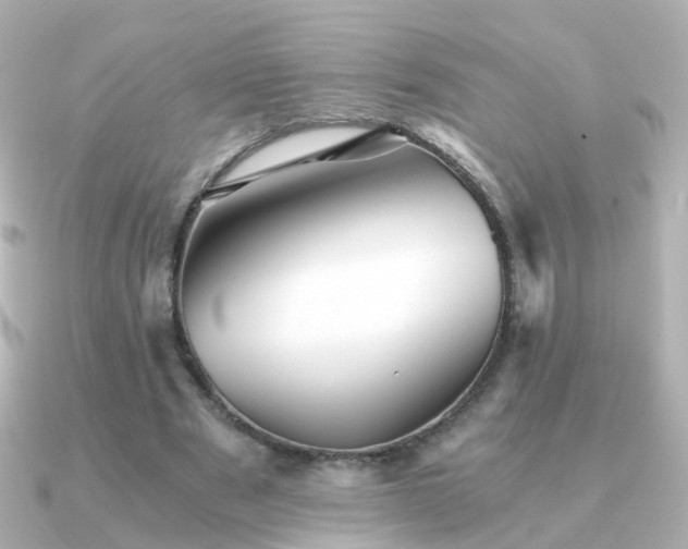 X0000091340489200708101446