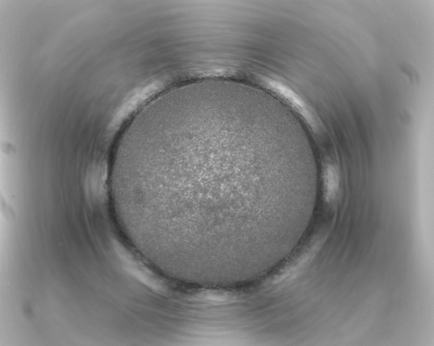 X0000091340490200708101446