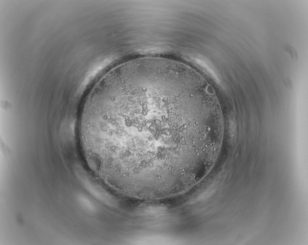 X0000091340491200708101446