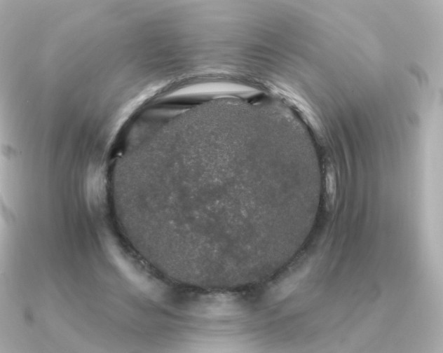X0000091340492200708101446