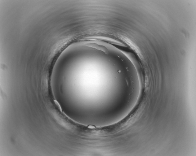 X0000091340493200708101446