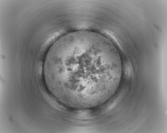 X0000091340495200708101446