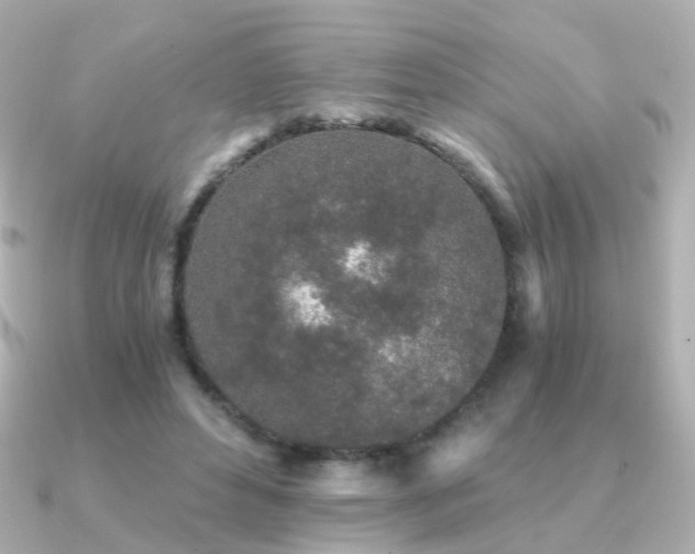 X0000091340496200708101446