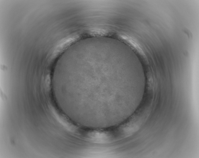 X0000091340498200708101446