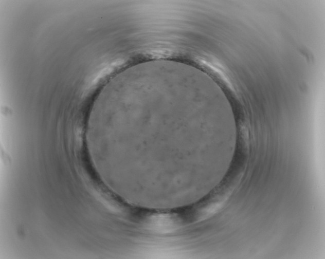 X0000091340499200708101446