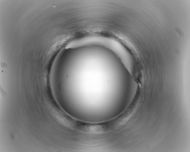 X0000091340501200708101446