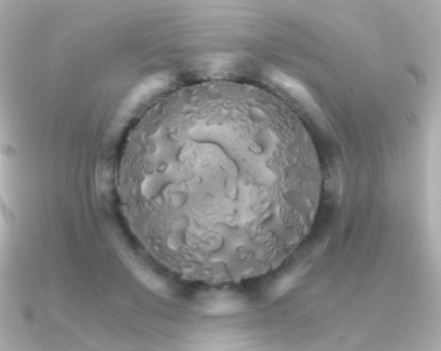 X0000091340503200708101446