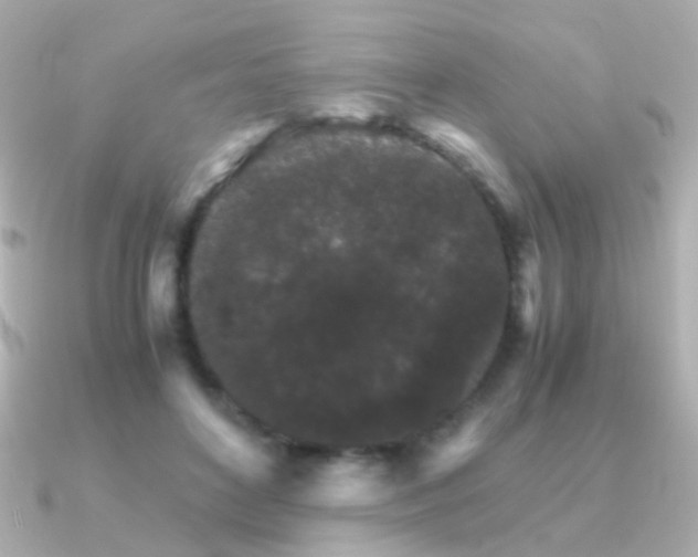 X0000091340504200708101446