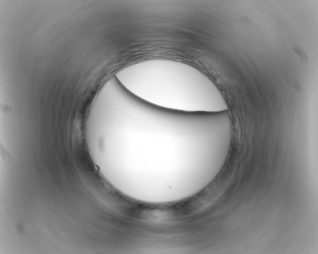 X0000091340506200708101446