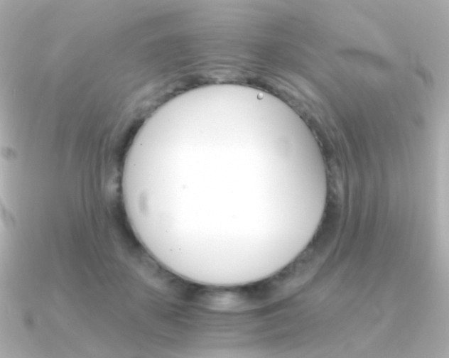 X0000091340507200708101446