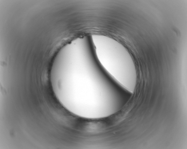 X0000091340508200708101446