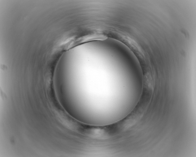X0000091340509200708101446