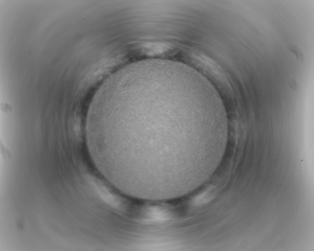 X0000091340510200708101446