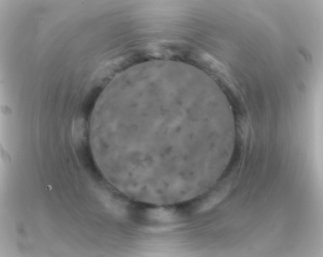 X0000091340511200708101446