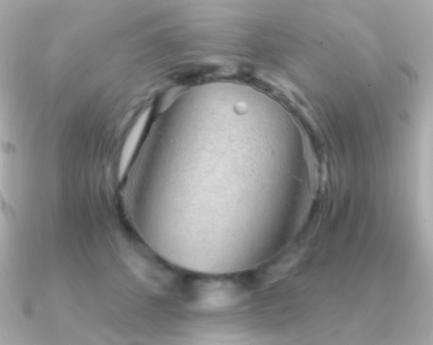 X0000091340512200708101446