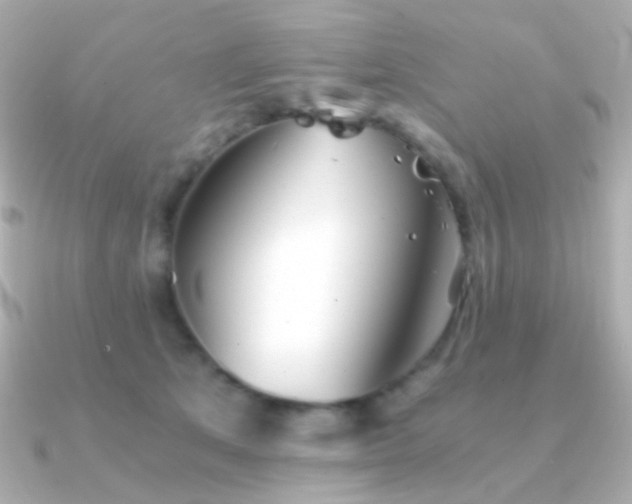 X0000091340513200708101446
