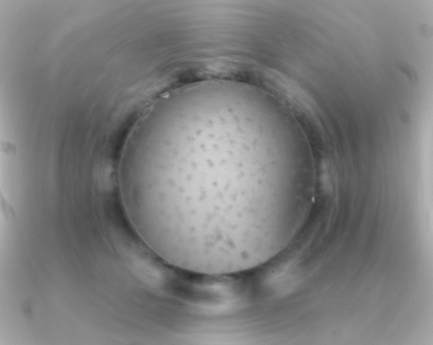 X0000091340514200708101446