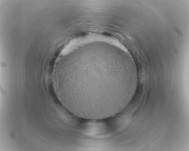 X0000091340515200708101446