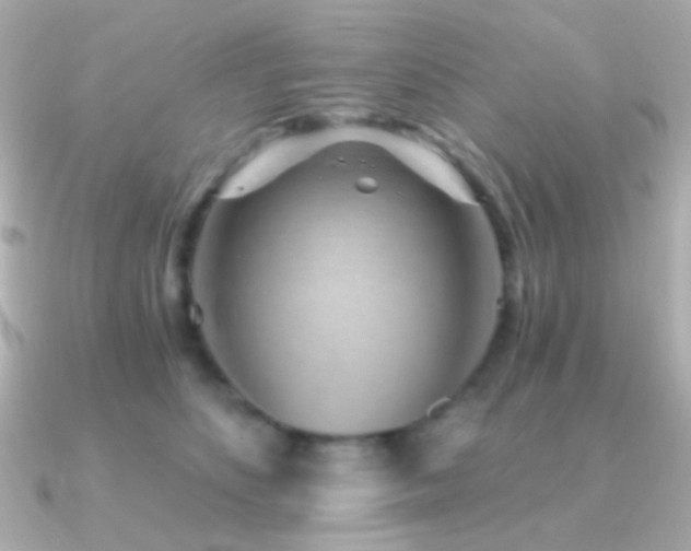 X0000091340516200708101446