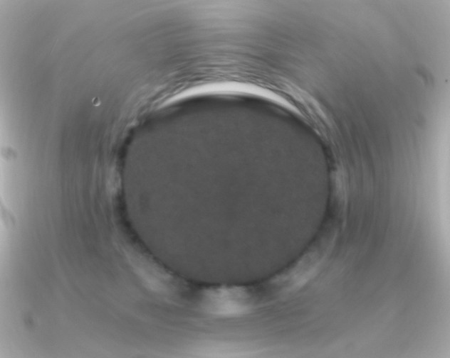 X0000091340517200708101446