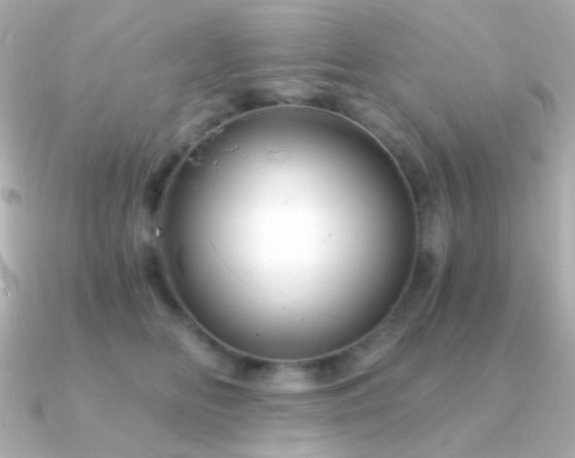 X0000091340518200708101446